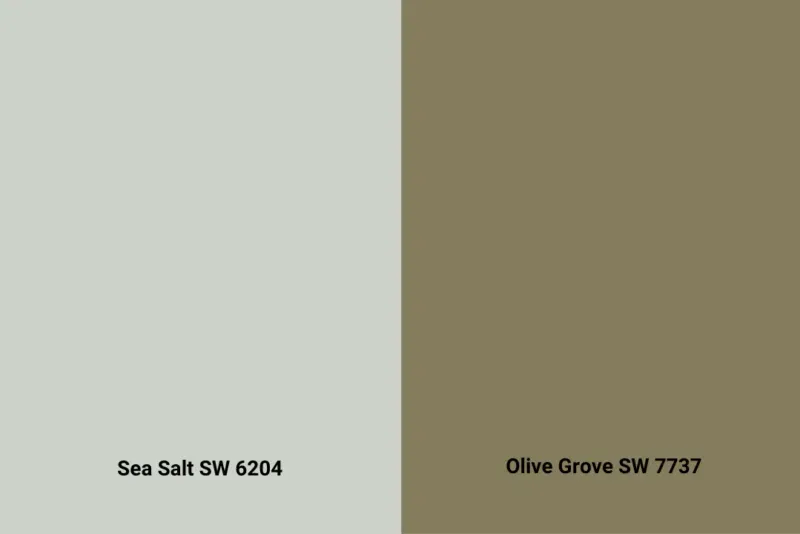Colors-2-800x534.png.webp
