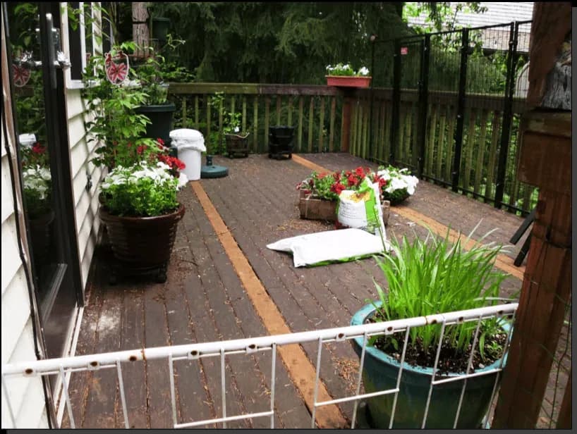 deck-staining-before.png.webp