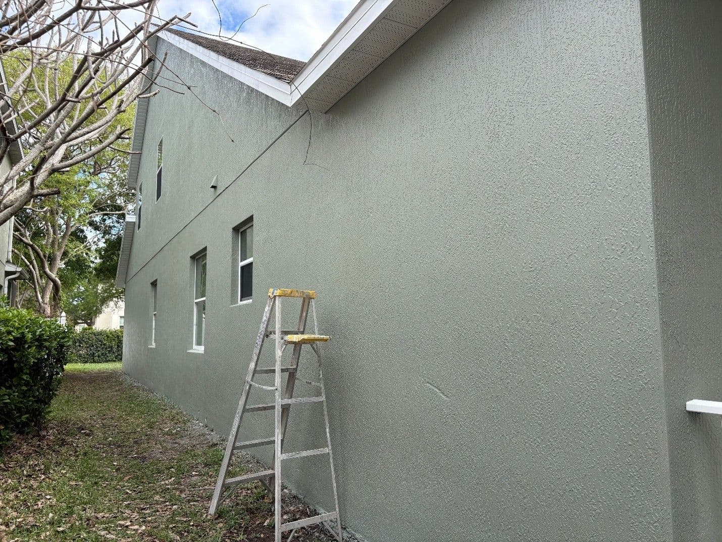 mildew after side