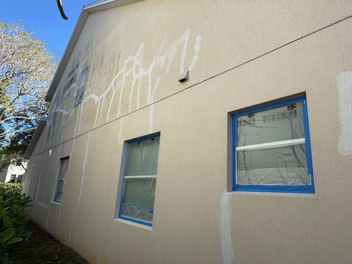mildew stucco repair.