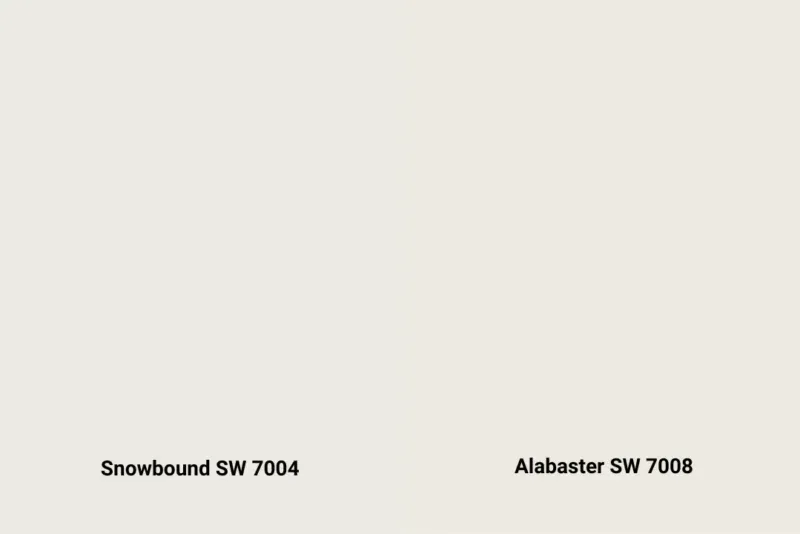 Portfolio-Page-Images-1-800x534.png (2).webp