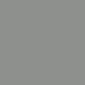 room-swatch_phoenix-fossil__ppg1009-5-300x300-1.jpeg.webp