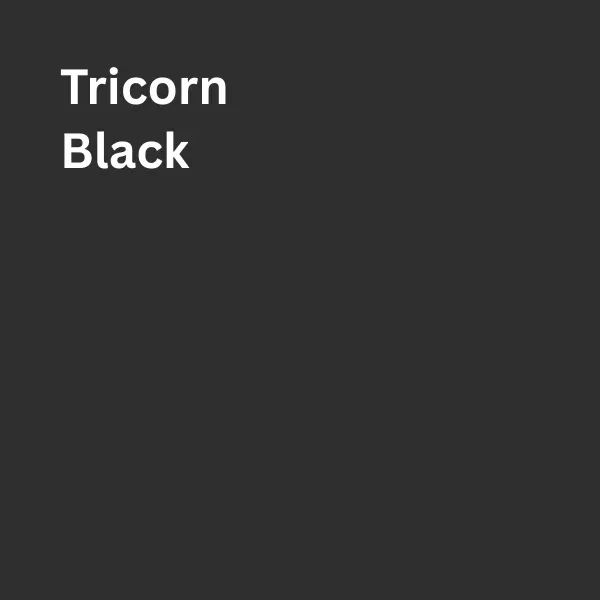 Sherwin-Williams-6258-Tricorn-Black.png.webp