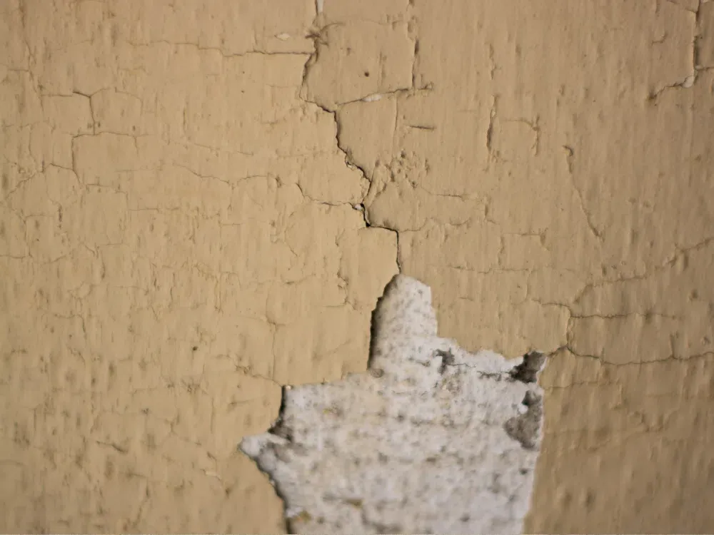 Untitled-1000-x-750-px-1000-x-750-px-4.png.webp
