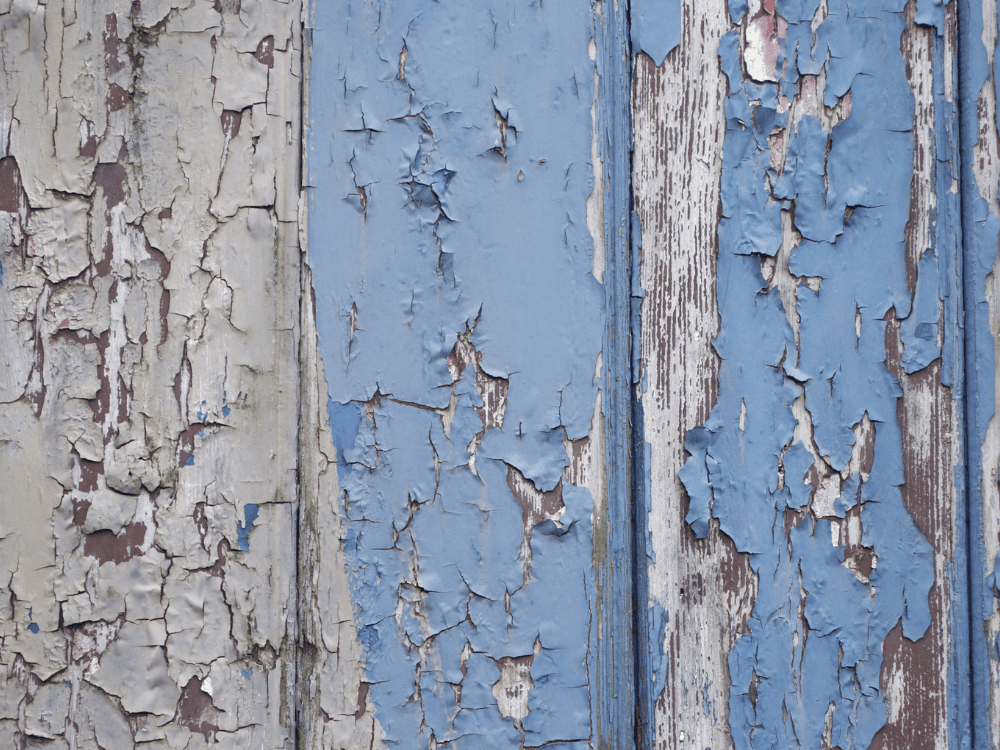 Untitled-design-2024-11-15T211912.698.png