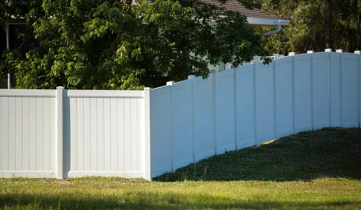 White-vs-Black-Fence-1.jpg.webp