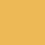Yellow Coneflower