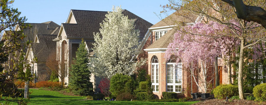 a neighborhood featuring different colored trees